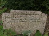 image of grave number 195991